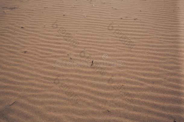 沙采用一无人居住的沙漠