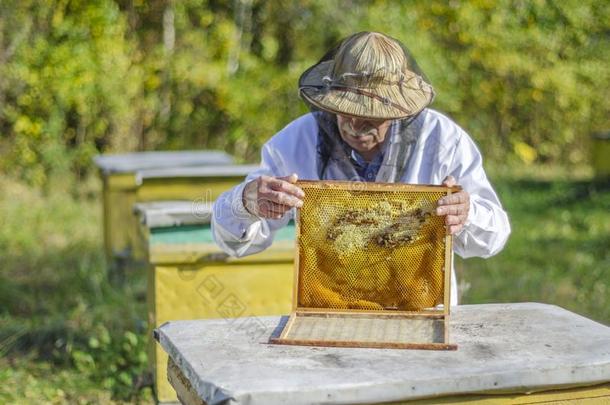 较高的养蜂家制造检查采用养蜂场