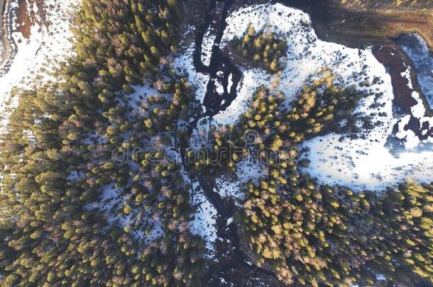 空气的看法向野生的自然乡下的森林和湖和雪梅蒂