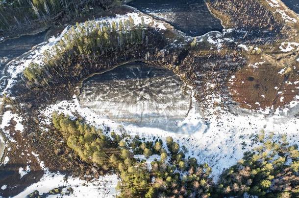 空气的看法向野生的自然乡下的森林和湖和雪梅蒂