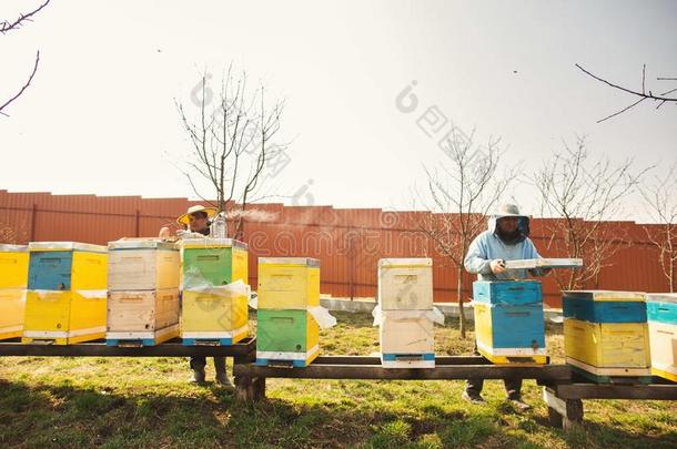 蜜蜂蜂箱详述.蜜蜂keeper是（be的三单形式工作的和蜜蜂和bee蜂箱s向