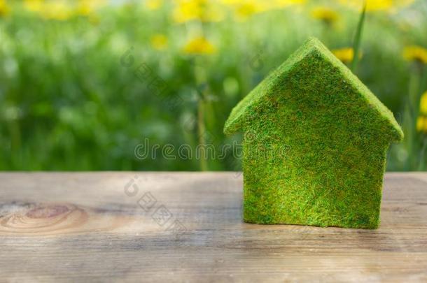 绿色的模型关于房屋同样地象征向绿色的背景