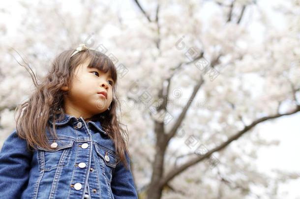 日本人女孩和樱桃花