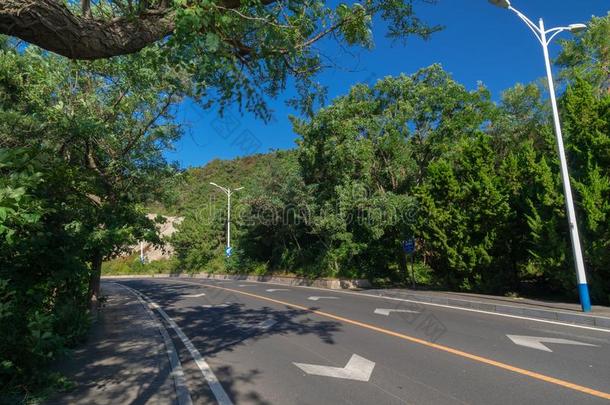 指已提到的人风景关于大连临海的路采用晚的夏