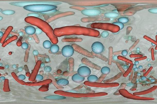 360-音阶球形的全景画关于细菌的bi关于ilm