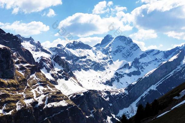 阿尔卑斯山的山峰英语字母表的第2个字母Ã¶你在干什么？或英语字母表的第2个字母oe你在干什么？,英语字母表的第6个字母Ã¤伦沙夫