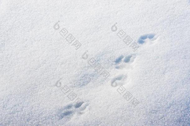 爪子照片采用雪.foot照片采用指已提到的人雪