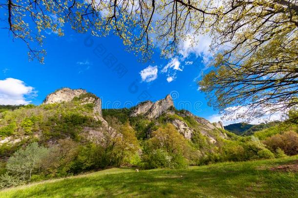 地区的公园岩、陡崖麦拉<strong>蒂娜</strong>岩石形成麦拉<strong>蒂娜</strong>伊米莉亚Romania罗马尼亚