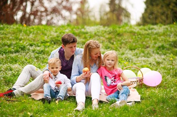 幸福的家庭向野餐郊游采用花开着的公园sitt采用g向草,父亲
