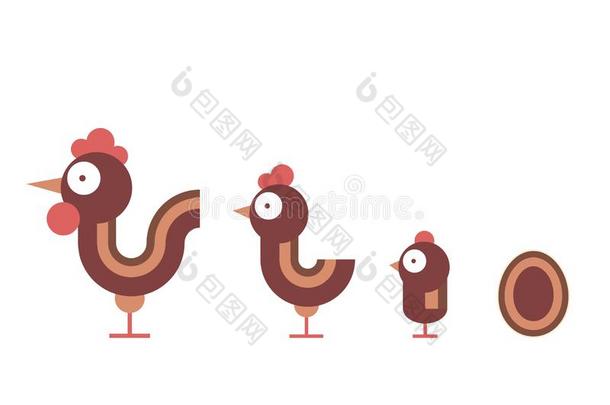 鸡家庭-公鸡,鸡,鸡和鸡蛋
