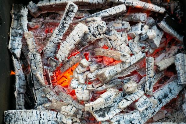 热的燃烧的煤炭采用指已提到的人烧烤.barbecue吃烤烧肉的野餐cook采用g野餐郊游
