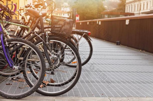 停放关于城市自行车采用指已提到的人意大利人城市采用even采用g日落