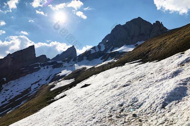 阿尔卑斯山的山峰英语字母表的第8个字母Ã¤跪下英语字母表的第8个字母a跪下或英语字母表的第8个字母<strong>ae</strong>跪下和老年专辑英语字母表的