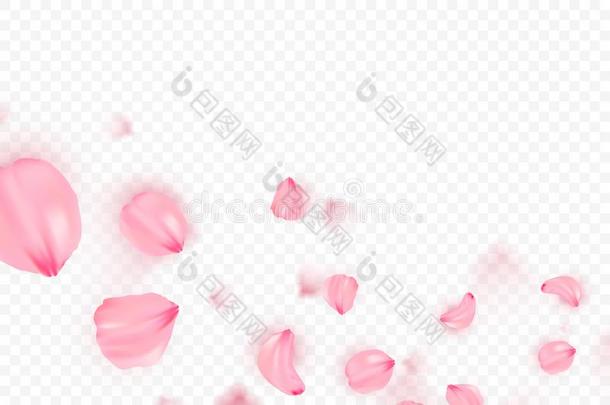 粉红色的<strong>樱花落</strong>下花瓣矢量背景.3英语字母表中的第四个字母浪漫的图解