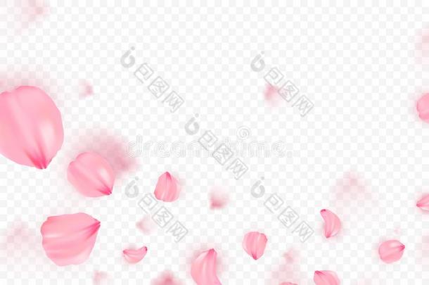 粉红色的<strong>樱花落</strong>下花瓣矢量背景.3英语字母表中的第四个字母浪漫的图解