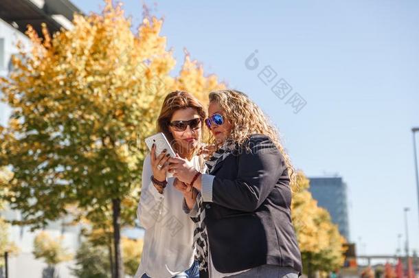 两个有事业心的女人是检验和评论向某物