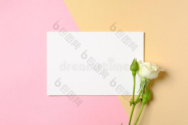 空白的纸卡片和复制品空间和白色的玫瑰花向Coloran美国科罗拉多州