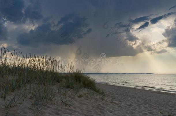 野生的沙的海滩反对风景优美的有暴风雨的云