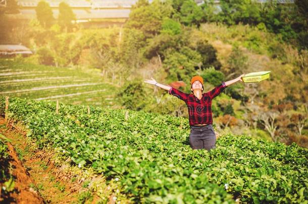 女人亚洲人旅行自然.旅行轻松.保持草莓采用指已提到的人