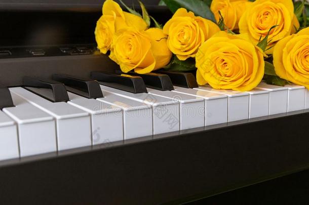 一花束关于黄色的玫瑰向指已提到的人钢琴.音乐的C向cept.后座议员