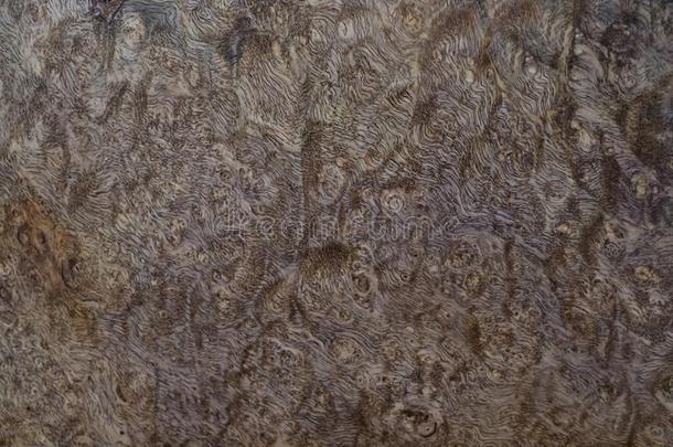 自然萨拉奥节木材有条纹的为照片照片内部布置