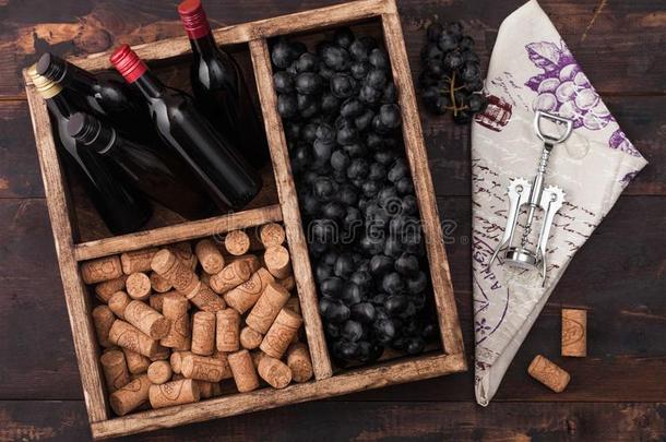 袖珍型的东西瓶子关于红色的葡萄酒和黑暗的葡萄和脐梅衣和脐梅衣cr