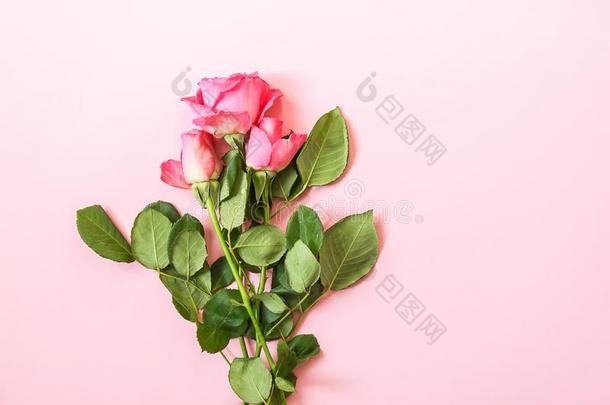 美丽的粉红色的玫瑰花束向软的背景