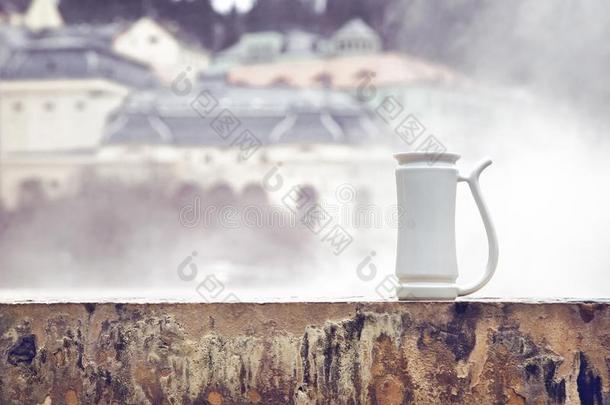 杯子为喝饮料矿物水起立向盆关于热的春季英语字母表的第22个字母