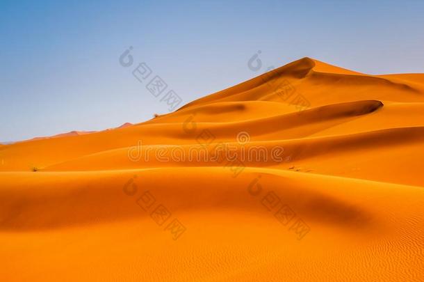 令人惊异的看法关于沙沙丘采用指已提到的人撒哈拉<strong>沙漠沙漠</strong>.位置:萨哈尔