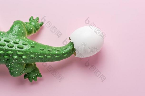 绿色的鳄鱼玩具和鸡蛋壳向彩色粉笔粉红色的背景.大音阶的第三音