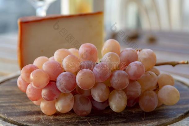西班牙的<strong>山</strong>羊奶奶酪和红辣椒涂层和成熟的粉红色的tablet<strong>药片</strong>
