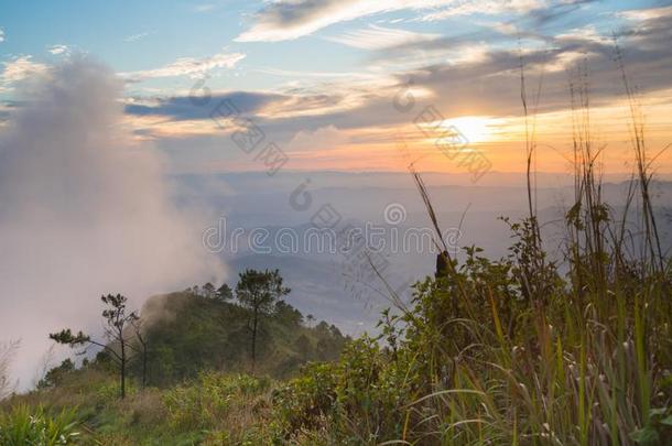 山nominal<strong>名义</strong>上<strong>的</strong>在山朗卡N在ional公园泰国和日落和雾
