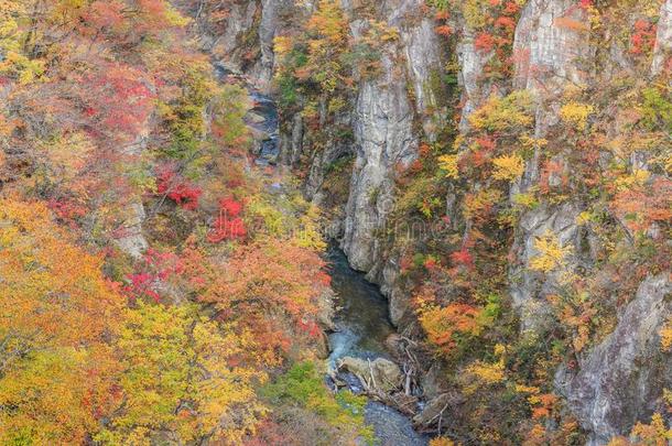 树叶旋转颜色采用秋采用鸣子山峡-分享,宫城,