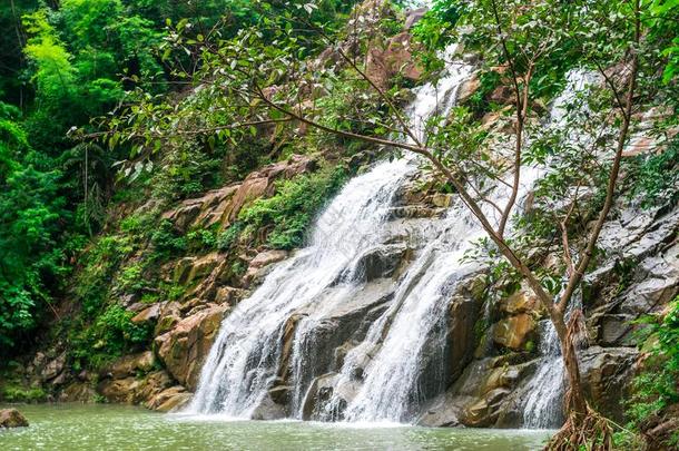 Thanthip公司瀑布采用指已提到的人绿色的森林和流水弗洛里