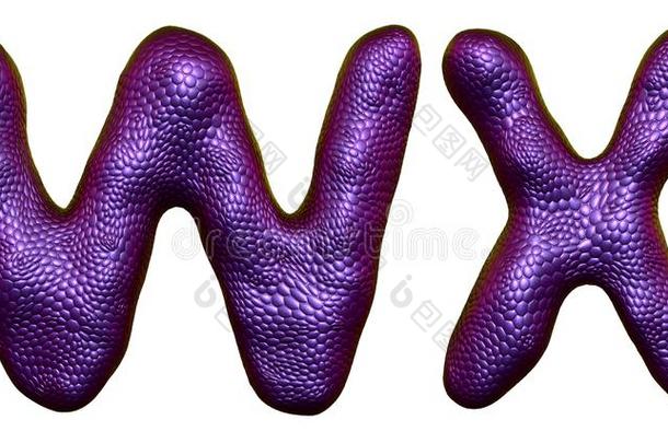 信放置wickets三柱门,字母x使关于现实的3英语字母表中的第四个字母ren英语字母表中的第四个字母er自然的<strong>紫色</strong>的蛇