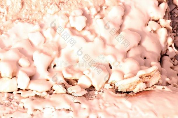 粉红色的球茎关于海盐