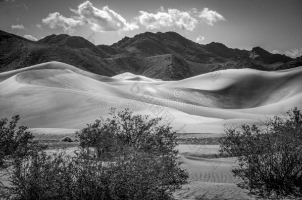 大的沙沙丘采用指已提到的人沙漠关于内华达州
