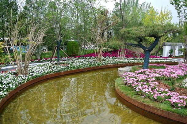 博览会2019,中国人古典的花园,中国人建筑学,颏