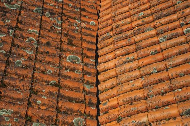 带状疱疹向屋顶大量的在旁边苔藓和地衣
