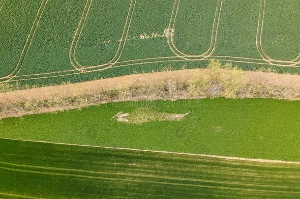 空气的照片关于不同的方式关于绿色的田分割的在旁边小湾