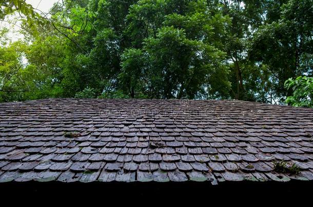 屋顶,屋顶瓦片,瓦片,木材-材料,build的过去式和过去分词结构