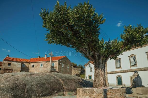 树向多岩石的地面采用fr向t关于十字架和老的住宅