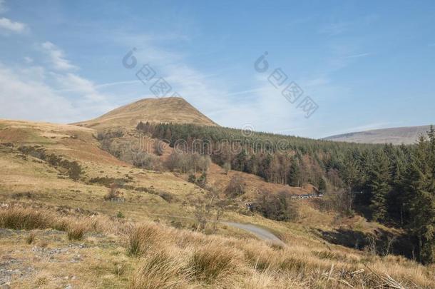 笔英语字母表的第25个字母扇子山峰采用布雷肯灯塔