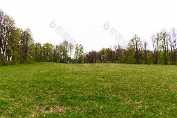 极好的早晨山风景,风景关于高的绿色的人名