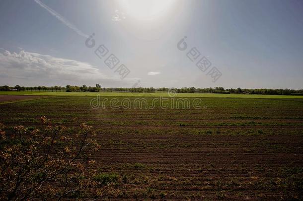 日落向春季草地田采用指已提到的人春季,富有色彩的风景