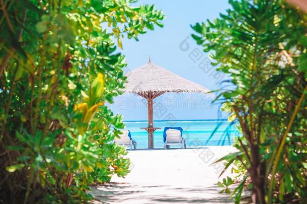 海滩木制的椅子为假期向热带的海滩