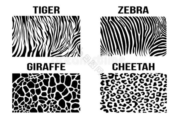黑的白色的非洲猎豹长颈鹿斑马老虎矢量皮模式文本
