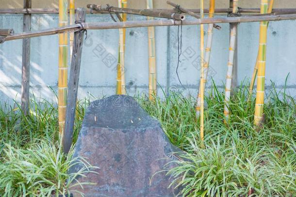 石头和金色的竹子花园采用奥米亚盆景医生