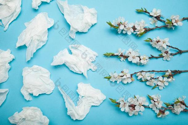 花束关于花和鼻的抹布从一过敏的鼻炎