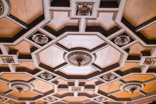 奢侈的古老的木制的天花板装饰采用一老的m采用or.前妻或前夫